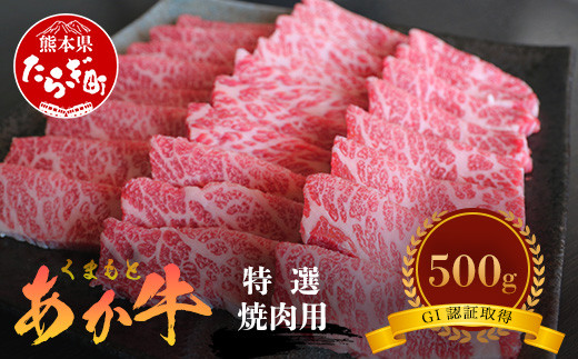 GI認証 【 くまもとあか牛 】特選 焼肉用 500g あか牛 和牛 牛肉 熊本 ブランド牛