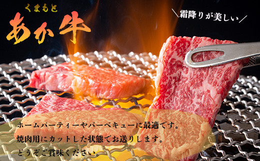 GI認証 【 くまもとあか牛 】特選 焼肉用 500g あか牛 和牛 牛肉 熊本 ブランド牛 焼き肉 ヤキニク やきにく ごちそう 記念日 国産 お肉 050-0349