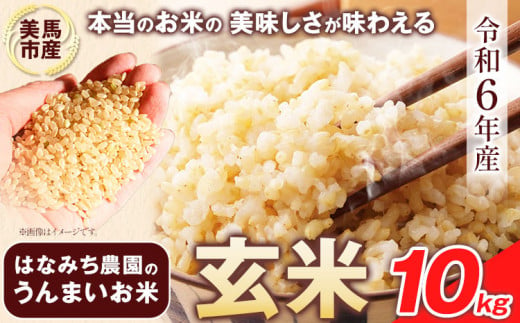 はなみち農園のうんまいお米・玄米 令和6年産 10kg 《30日以内に出荷予定(土日祝除く)》玄米 美馬市産 実森ラボラトリー株式会社 自家製小麦のお店mimori 送料無料 徳島県 美馬市