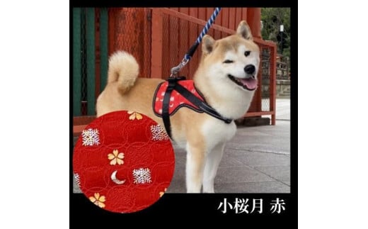 【 京都西陣金襴織 】中型犬ハーネス 華（小桜月 赤）【柴犬コウタのハッピィショップ】