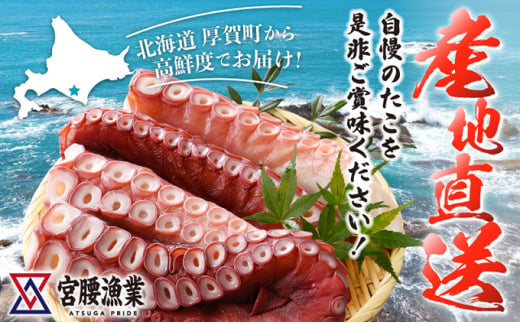 ハーフボイルタコ 2kg 【北海道産】