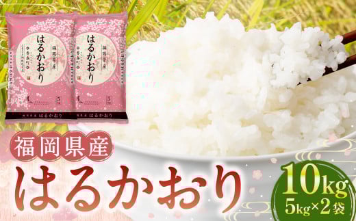 滋賀県産令和6年産キヌヒカリ(白米)5kg 近江米 楽天市場】【令和六年産】 滋賀県産 キヌヒカリ 30kg (5kg×6袋