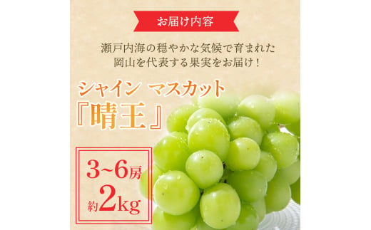 ぶどう 2024年 先行予約 シャイン マスカット 晴王 3房～6房 約2kg ブドウ 葡萄  岡山県産 国産 フルーツ 果物 ギフト