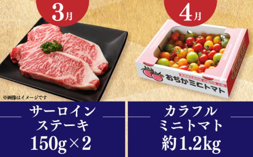 【12月限定受付】　【全6回定期便】 毎月違ったお品が届く！ 小さな島の贈り物 10万円 100,000円 かんころもち あおさ サーロインステーキ 魚醤3本 ドレッシング ピーナッツペースト＆ジンジャーシロップ [DYZ017]