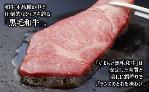 くまもと黒毛和牛・リブロース約500g