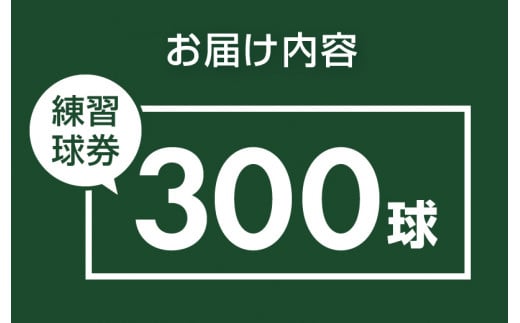 鐘山ゴルフセンター練習球券（300球券）