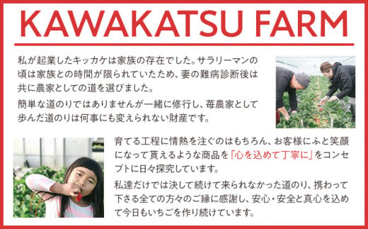 特別栽培認証あまおう 2Lサイズ 1箱セット あまおう イチゴ 苺 いちご フルーツ 果物 くだもの 福岡県産 お取り寄せグルメ お取り寄せ 福岡 お土産 九州 福岡土産 取り寄せ グルメ 福岡県