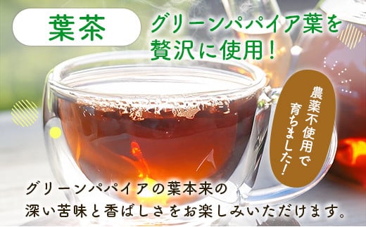 グリーンパパイアティー 2種 セット (果実茶＆葉茶) ティーバッグ 計4袋 宮崎県産