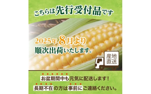 【先行予約】【2025年産】北海道十勝芽室町 とうもろこし バイカラー ドルチェドリーム 10本 me002-024c-25