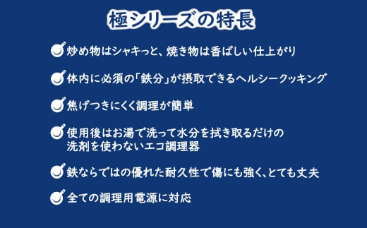 鉄フライパン 24cm リバーライト 極JAPAN 錆びにくい 焦げ付きにくい お手入れ簡単