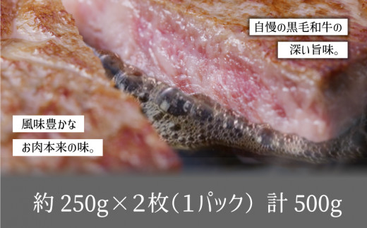 くまもと黒毛和牛・サーロイン約500g