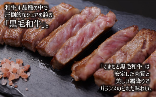 くまもと黒毛和牛・サーロイン約500g