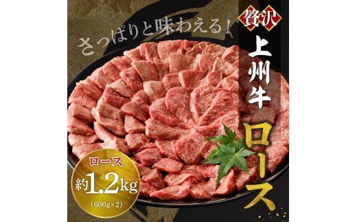 牛肉 ロース 【上州牛】 1.2kg（600g×2パック）   群馬県 千代田町 国産 牛肉 ブランド牛 精肉 肉 お肉 焼肉 バーベキュー BBQ キャンプ アウトドア 食品 冷凍便 グルメ お取り寄せ グルメ 送料無料 