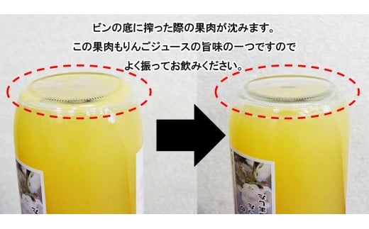 大北産サンふじ100％使用 りんごジュース 1000ml × 6本