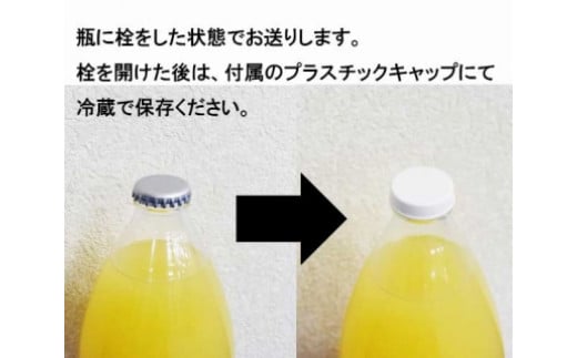 大北産サンふじ100％使用 りんごジュース 1000ml × 6本