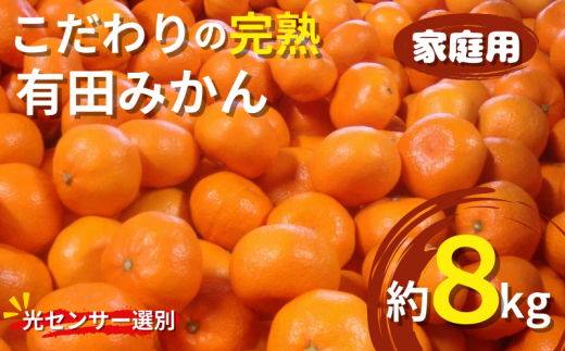 【2025年1月発送予約分】＼光センサー選別／農家直送 こだわりの完熟有田みかん 約8kg＋250g(傷み補償分) 【ご家庭用】【1月発送】 【nuk100-3E】