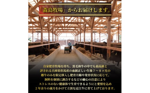 近江牛 赤身ステーキ  約390g（130g×3枚）  A4 ~ A5 ランク 毛利志満 冷蔵 ( 近江牛 ブランド和牛 近江牛 牛肉 近江牛 ステーキ 国産 近江牛 人気 近江牛 神戸牛 松阪牛 に並ぶ 日本三大和牛 ふるさと納税 )