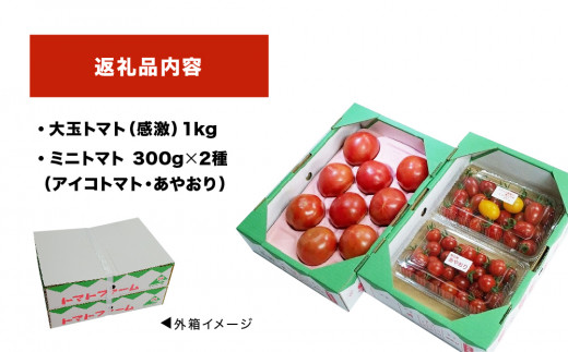 トマト3種セット （観光農園トマトファーム） 大分県 玖珠町 トマト 大玉 ミニトマト アイコ あやおり 高原 栽培 農園 もぎ取り 甘い 美味 トマトファーム 安心 安全 観光 観光農園 春 冬