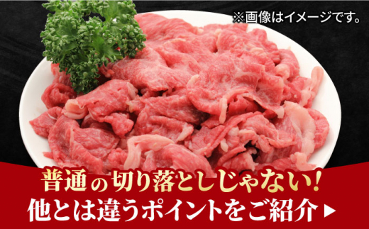 【全6回定期便】すき焼き しゃぶしゃぶに！佐賀牛 赤身とバラ肉の切り落とし 600g（300g×2P） 吉野ヶ里町/NICK’S MEAT [FCY015]