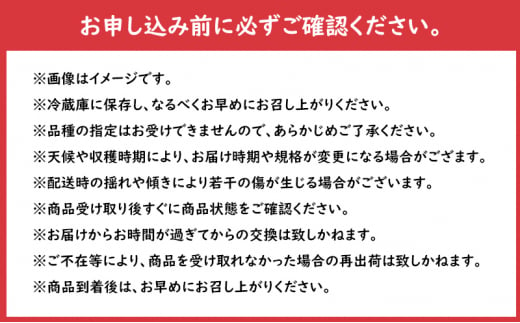 【大櫻農園】ふじ 盛岡 完熟 りんご 約3kg（7～9玉）