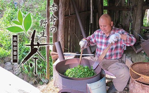 赤倉の野生茶