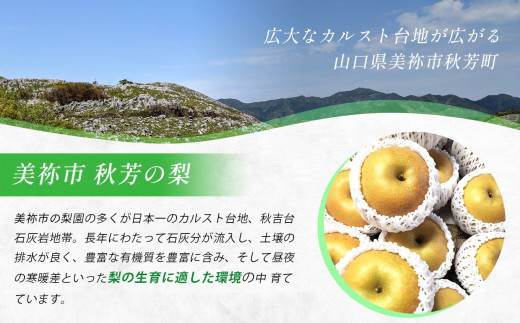 おいしい梨をいつでも 和梨ジャム 6個セット  ( 秋芳の実 梨 百年の樹 ) | 梨 なし 秋芳梨 果実 フルーツ くだもの 果物 ジャム 特産品 美祢市 山口 美祢 秋芳 秋芳町 お菓子 加工品 スイーツ