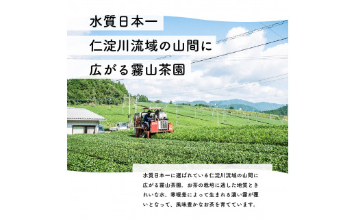 【新茶予約・2025年6月】摘みたて新茶 テトラタイプ 新茶 初摘み 2025 ティーバッグ