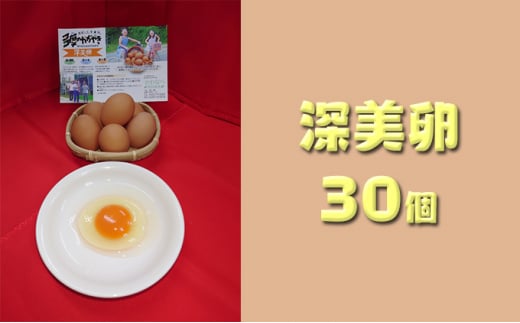 かわなべ鶏卵農場のこだわりのたまご　深美卵30個 [№5714-0127]