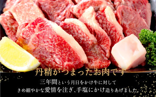 神戸牛 牛カルビ 焼肉用 切り落とし 500g【バラ・肩・モモ】/ 訳あり 牛肉 焼肉 カルビ 焼き肉 焼肉セット 赤身 黒毛和牛 赤身 霜降り 国産牛 牛肉切り落とし 牛 肉 やきにく 神戸ビーフ 太田牧場 太田牛 TYY1【但馬牛太田家】