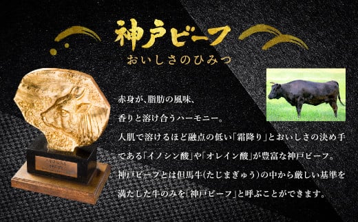 神戸牛 牛カルビ 焼肉用 切り落とし 500g【バラ・肩・モモ】/ 訳あり 牛肉 焼肉 カルビ 焼き肉 焼肉セット 赤身 黒毛和牛 赤身 霜降り 国産牛 牛肉切り落とし 牛 肉 やきにく 神戸ビーフ 太田牧場 太田牛 TYY1【但馬牛太田家】