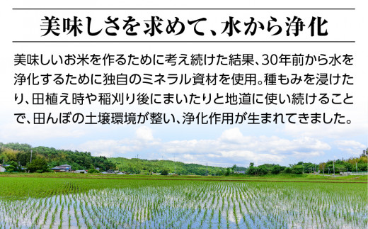 新米【令和六年産】特別栽培米コシヒカリ18.0kg（4.5kg×4袋）精米 お米 ブランド米 ライス 炭水化物 ご飯 主食 食卓 おにぎり お弁当 ミネラル米 こしひかり ごはん こめ コメ 産地直送 国産 茨城県産 常総市 運動会 アウトドア キャンプ