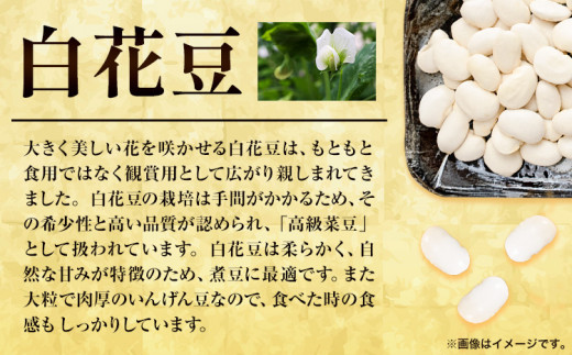 白花豆ようかん 浦幌町農業協同組合 《60日以内に出荷予定》北海道 十勝 浦幌町  ようかん 白花豆 豆