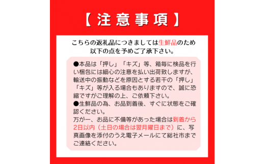 【2回定期便】白桃食べ比べコース（おかやま夢白桃・冬桃がたり）岡山県総社市産【2024年産先行予約】24-063-001