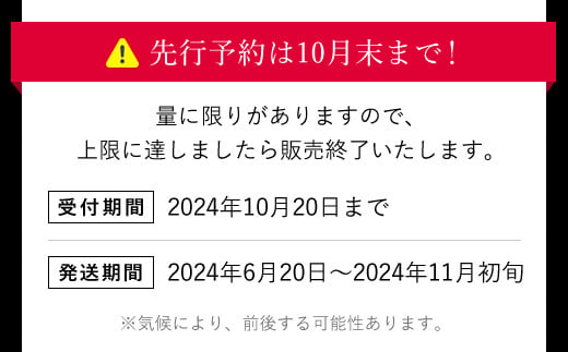 万願寺とうがらし 2㎏ / ふるさと納税 京野菜 野菜 旬の野菜 万願寺とうがらし 京都府 福知山市