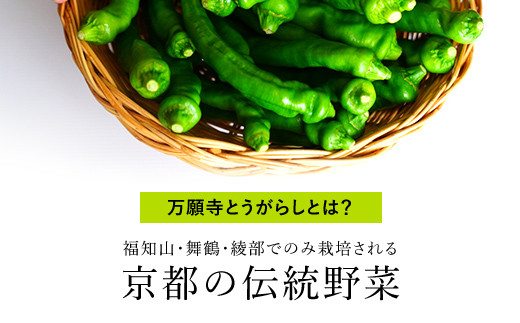 万願寺とうがらし 2㎏ / ふるさと納税 京野菜 野菜 旬の野菜 万願寺とうがらし 京都府 福知山市