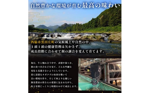 【神戸ビーフ素牛】【スピード発送】特選 黒田庄和牛（すき焼き用肩ロース、750g）(30-5) 肉 お肉 牛肉 すき焼き用 すき焼き すきやき 便利 神戸ビーフ 神戸牛 黒田庄和牛 高級黒毛和牛