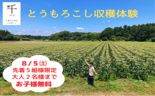 三ツ星コーン収穫体験　８月５日（土）　先着５組様限定 [№5346-0395]