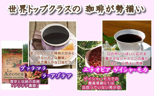 【12203-0106】定期便6回 世界一周 高級珈琲（豆のまま） 銀河コーヒー 