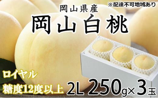 桃 2024年 先行予約 岡山 白桃 ロイヤル 3玉×約250g（2Lサイズ）JAおかやまのもも（早生種・中生種） もも モモ 岡山県産 国産 フルーツ 果物 ギフト