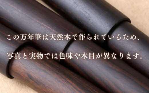 銘木・「世界樹」万年筆（黒檀/クリップ付き）細字