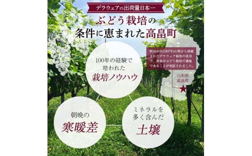 山形GIワイン認定! 高畠ワイナリー「バリック」シリーズ 赤白飲み比べセット 赤ワイン 白ワイン 高級 プレミアム ブランド 飲み比べ ワインセット 酒 自宅用 パーティー ギフト 山形 東北 高畠町 F20B-904