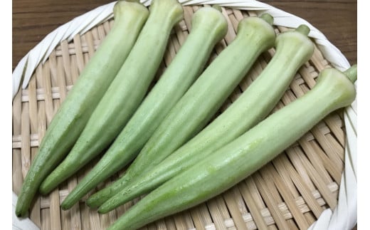 カレー 白オクラカレー 長州どり トロトロカレー ご当地カレー 5箱セット 5食 190g 希少野菜 長門市 オリジナルカレー