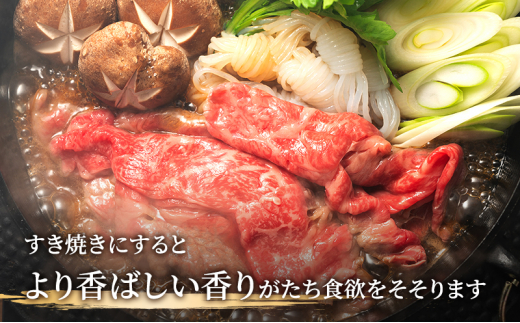 飛騨牛 牛肉 すき焼き しゃぶしゃぶ バラ スライス 700g A5 和牛 【岐阜県瑞穂市】[№5787-0985]