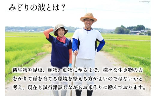 【期間限定発送】 米 令和6年 コシヒカリ 白米 900g(6合) [みどりの波 石川県 宝達志水町 38601061] こしひかり 精米 お米 ご飯 ごはん お試し 少量