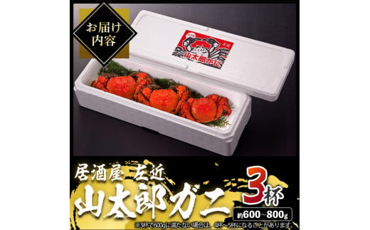 ＜期間限定＞山太郎ガニ(3杯・約600g-800g)海鮮 魚介類 蟹 カニ モクズガニ【SK001】【居酒屋 左近】