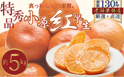 [№5911-0354]特秀品！真っ赤なお蜜柑「小原紅早生」　約5kg