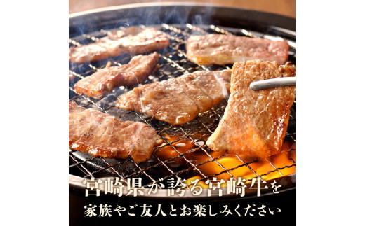 宮崎牛極み上焼肉セット合計300g N0140-YB083