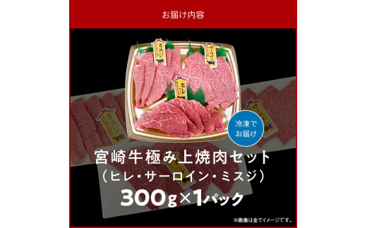 宮崎牛極み上焼肉セット合計300g N0140-YB083