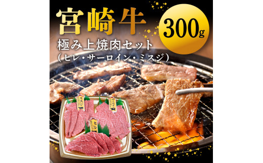 宮崎牛極み上焼肉セット合計300g N0140-YB083