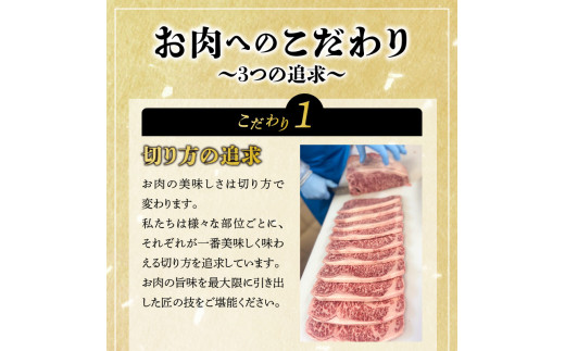 宮崎牛極み上焼肉セット合計300g N0140-YB083